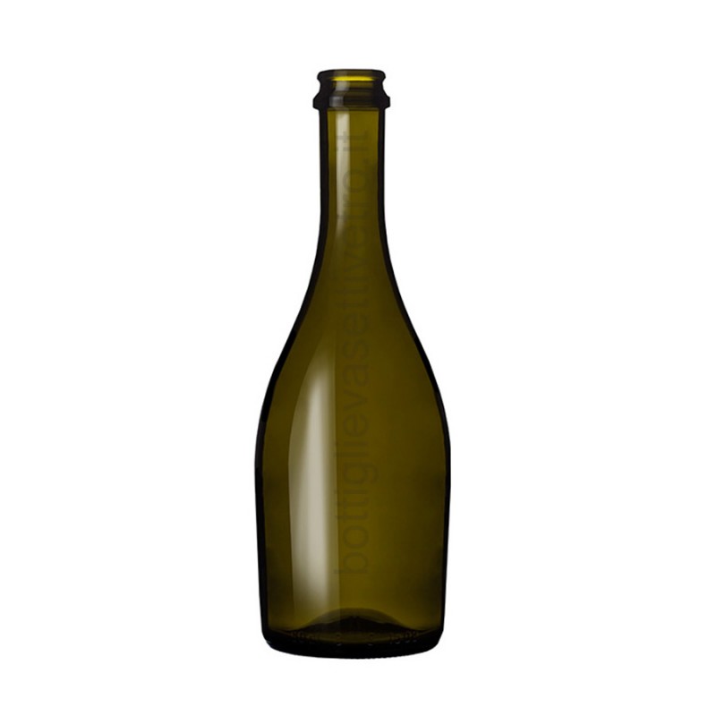 Bottiglia Frizz 500ml tc29